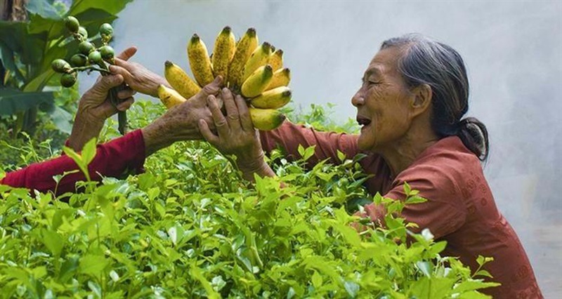 Hàng xóm của chúng tôi