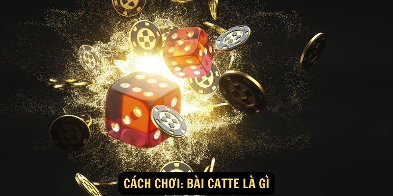 Catte là gì - "Cơn sốt" mới trong giới trẻ năm 2024