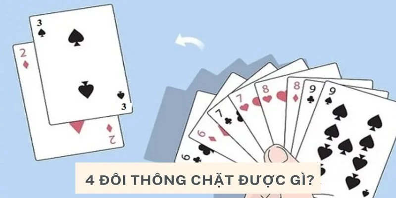 4 đôi thông chặt được gì? 4 đôi thông có cần vòng không?