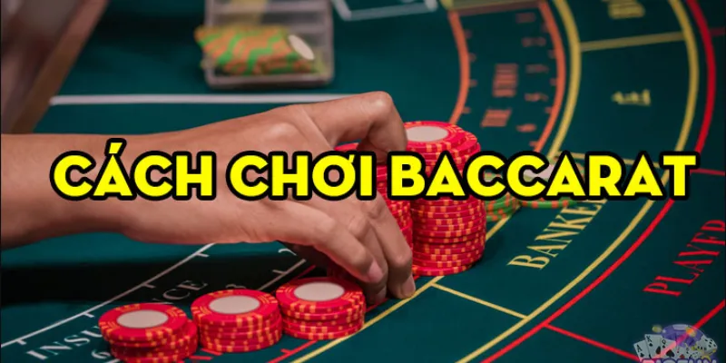 Cách Martingale Baccarat để Đặt cược Thành công - mommyhoodtohollywood.com